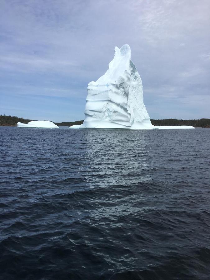 Toulinguet Inn - Suites Twillingate Luaran gambar